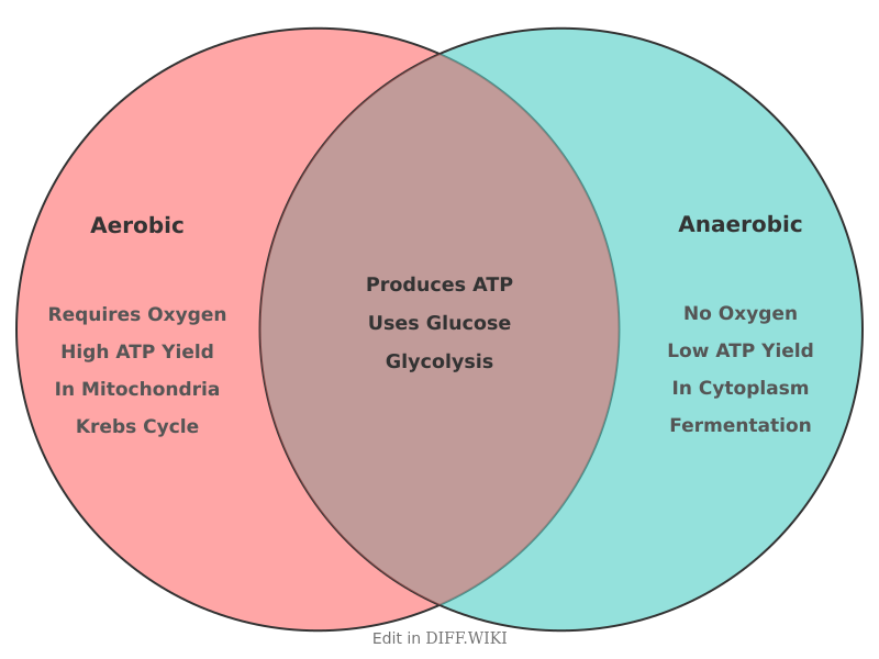 Venn diagram for Differences between Aerobic Respiration and Anaerobic Respiration