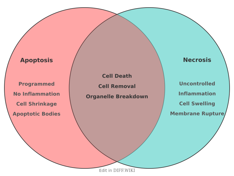 Venn diagram for Differences between Apoptosis and Necrosis