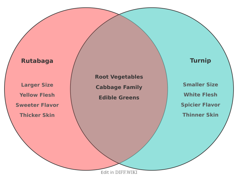 Venn diagram for Differences between Rutabaga and Turnip