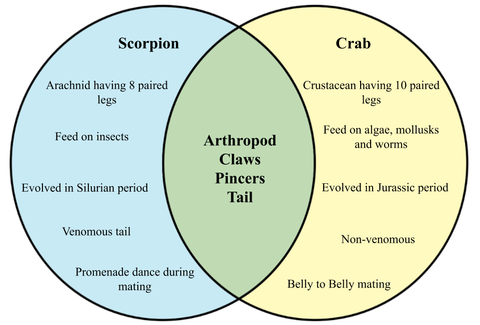 Crab vs scorpion.png