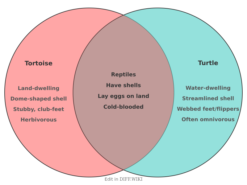 Venn diagram for Differences between Tortoise and Turtle