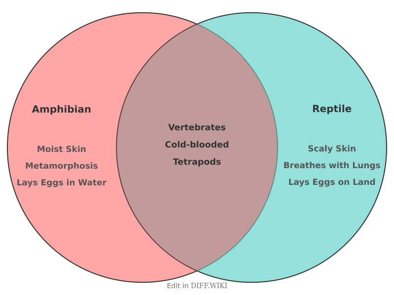 Venn diagram for Differences between Amphibian and Reptile