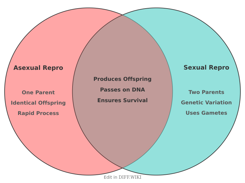 Venn diagram for Differences between Asexual Reproduction and Sexual Reproduction