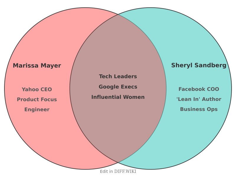 Venn diagram for Differences between Marissa Mayer and Sheryl Sandberg