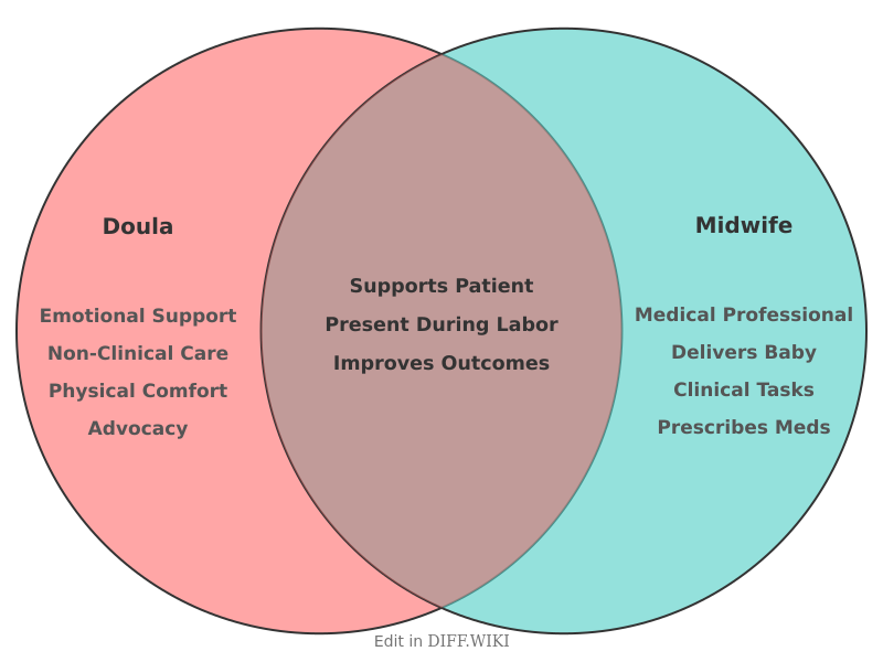 Venn diagram for Differences between Doula and Midwife