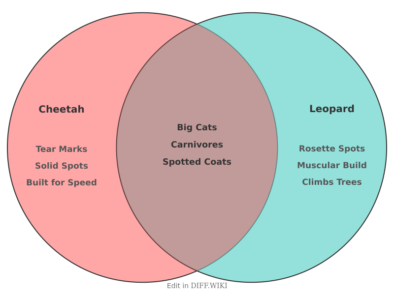 Venn diagram for Differences between Cheetah and Leopard