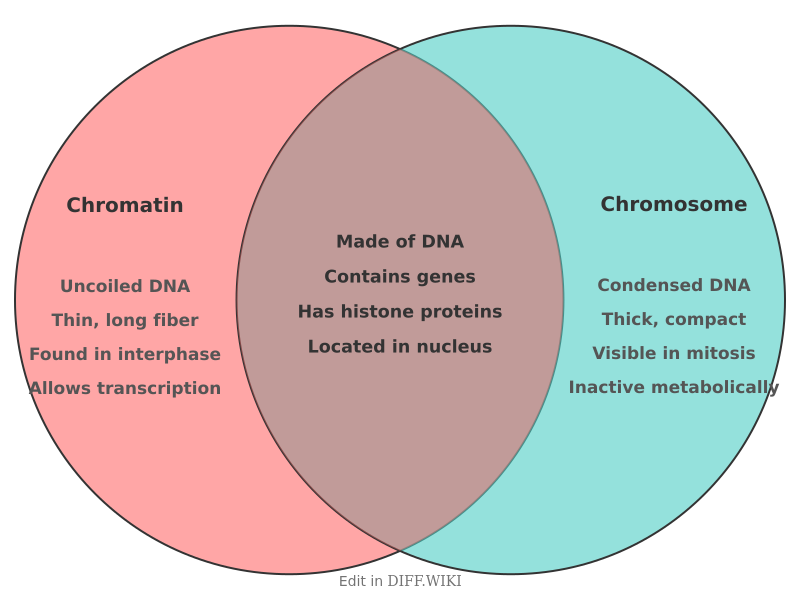 Venn diagram for Differences between Chromatin and Chromosome