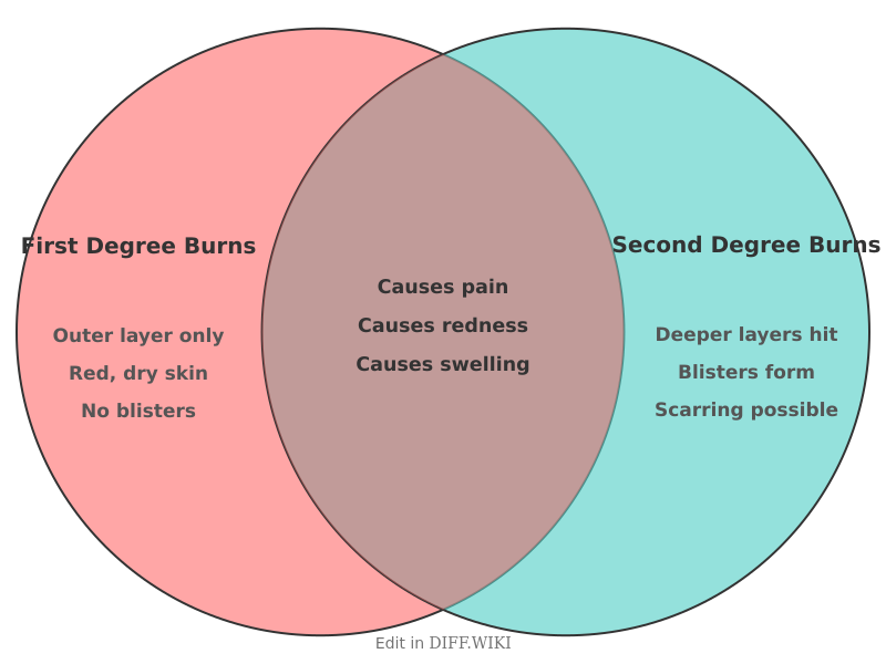 Venn diagram for Differences between First Degree Burns and Second Degree Burns