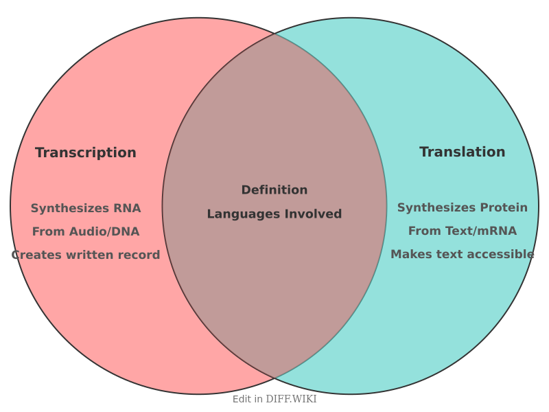 Venn diagram for Differences between Transcription and Translation