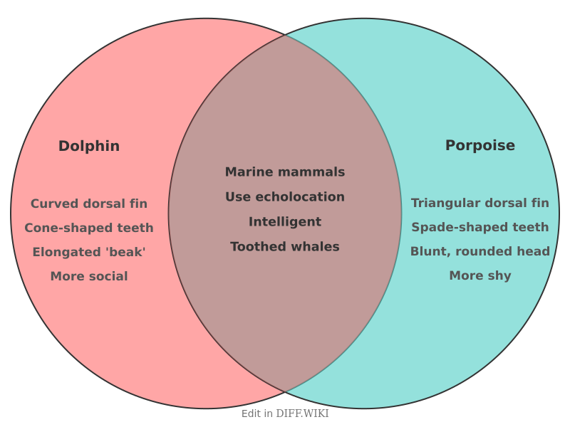 Venn diagram for Differences between Dolphin and Porpoise