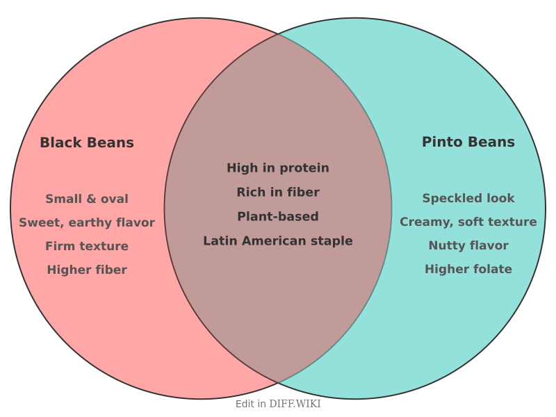 Venn diagram for Differences between Black Beans and Pinto Beans