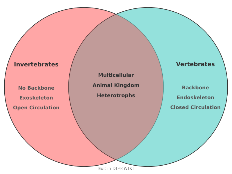 Venn diagram for Differences between Invertebrate and Vertebrate