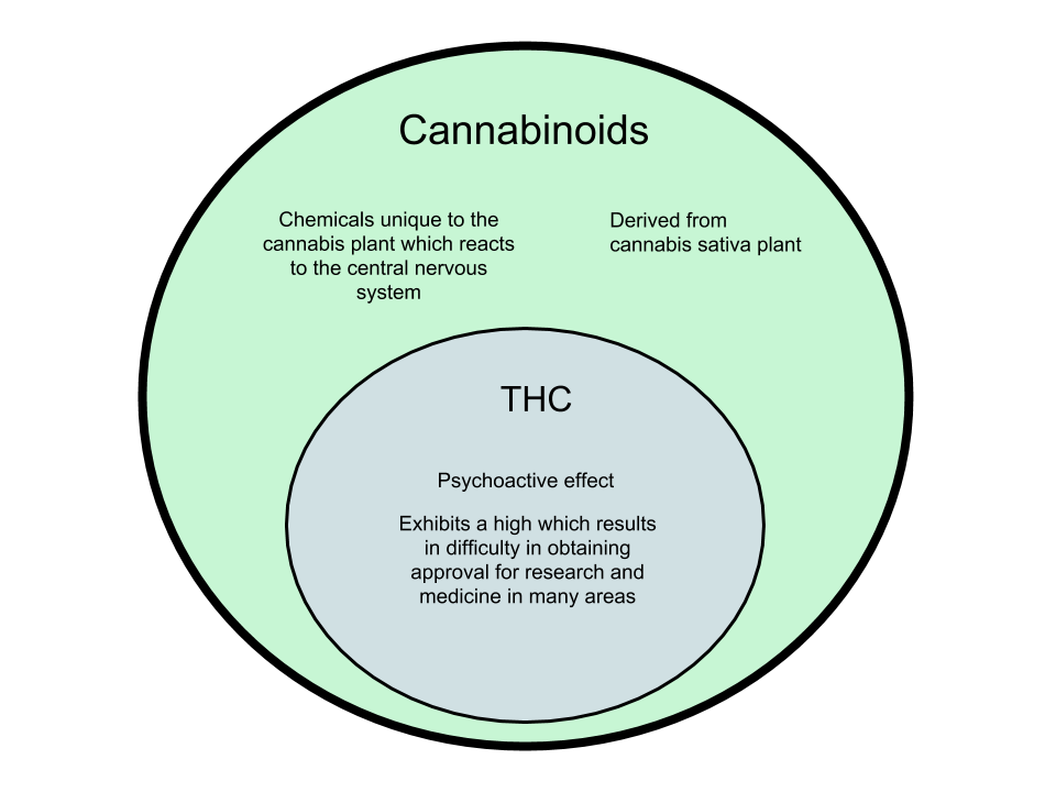 Difference-Between-Cannabinoids-and-THC.png
