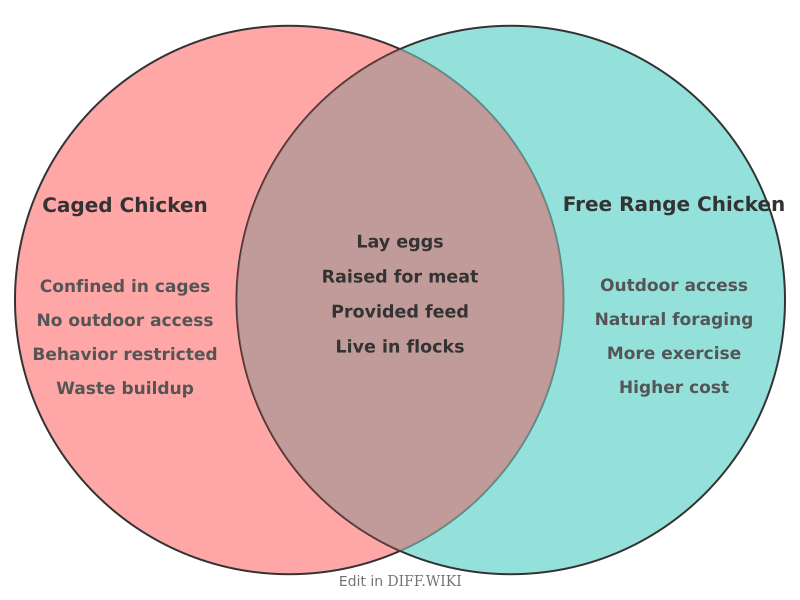 Venn diagram for Differences between Caged Chicken and Free Range Chicken