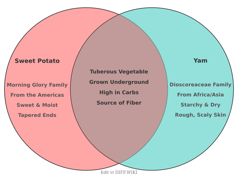 File:Venn diagram Differences between Sweet Potato versus Yam comparison.png