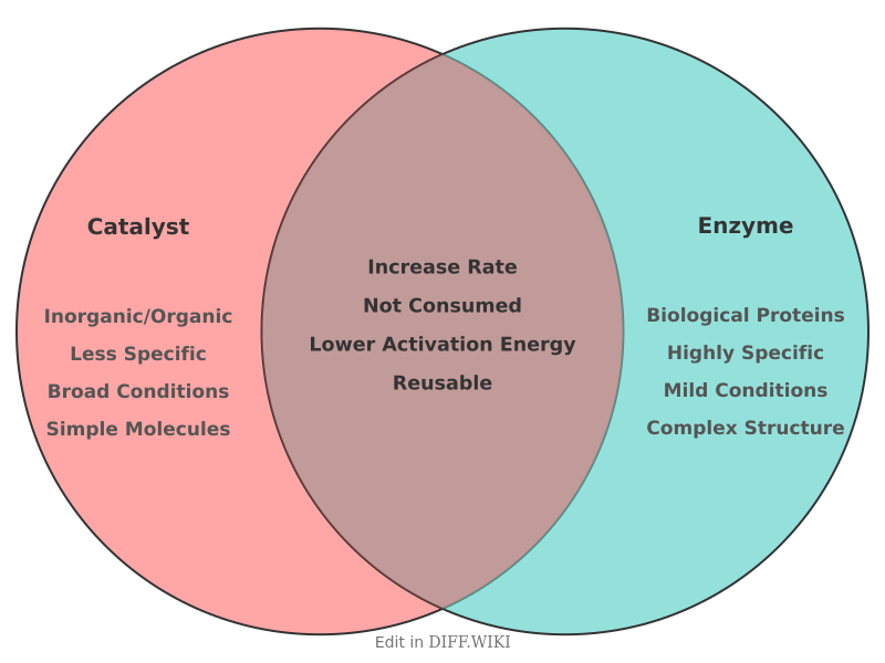Venn diagram for Differences between Catalyst and Enzyme