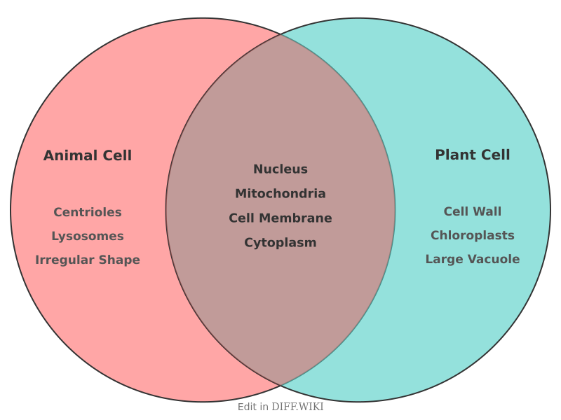 Venn diagram for Differences between Animal Cell and Plant Cell