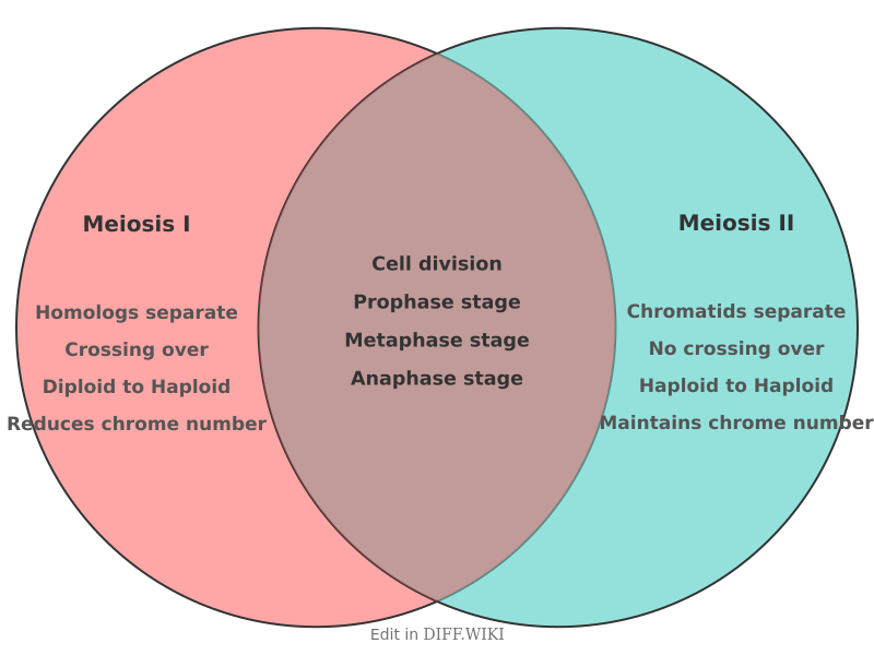 Venn diagram for Differences between Meiosis I and Meiosis II