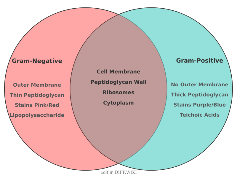 Venn diagram for Differences between Gram-negative Bacteria and Gram-positive Bacteria