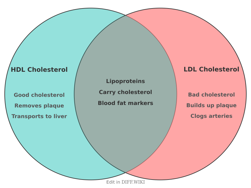 Venn diagram for Differences between HDL and LDL