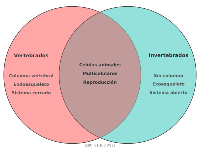 Venn diagram for Differences between Vertebrados- and Invertebrados
