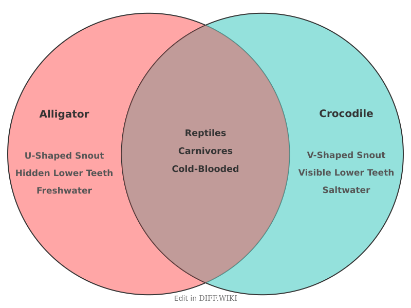 Venn diagram for Differences between Alligator and Crocodile