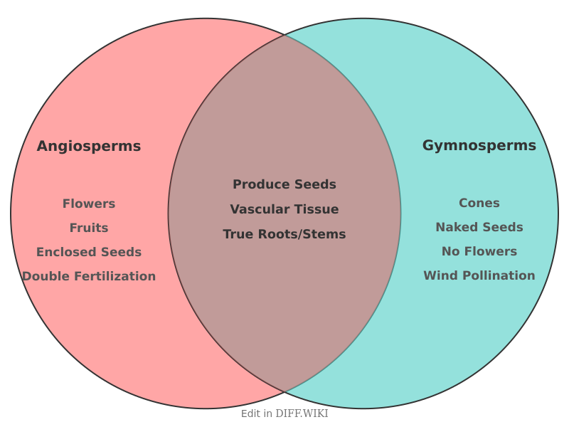 Venn diagram for Differences between Angiosperms and Gymnosperms