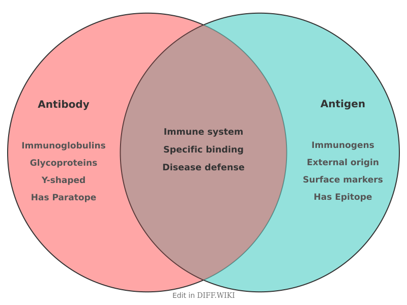 Venn diagram for Differences between Antibody and Antigen