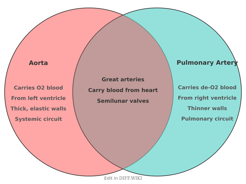 Venn diagram for Differences between Aorta and Pulmonary Artery