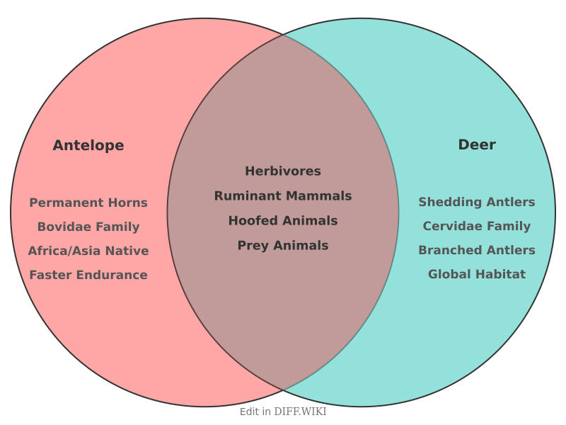 Venn diagram for Differences between Antelope and Deer