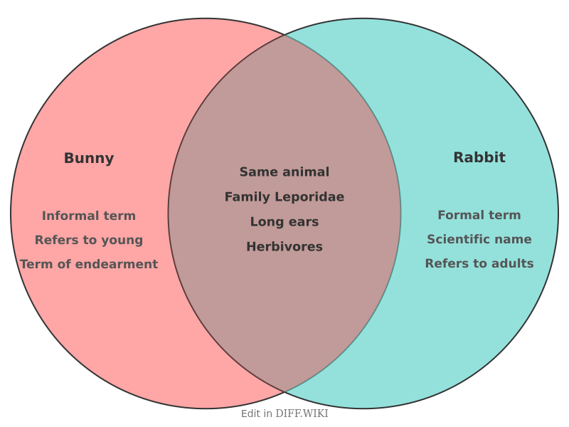 Venn diagram for Differences between Bunny and Rabbit