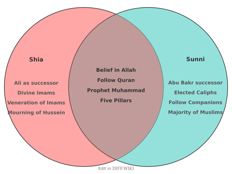 Venn diagram for Differences between Shia and Sunni