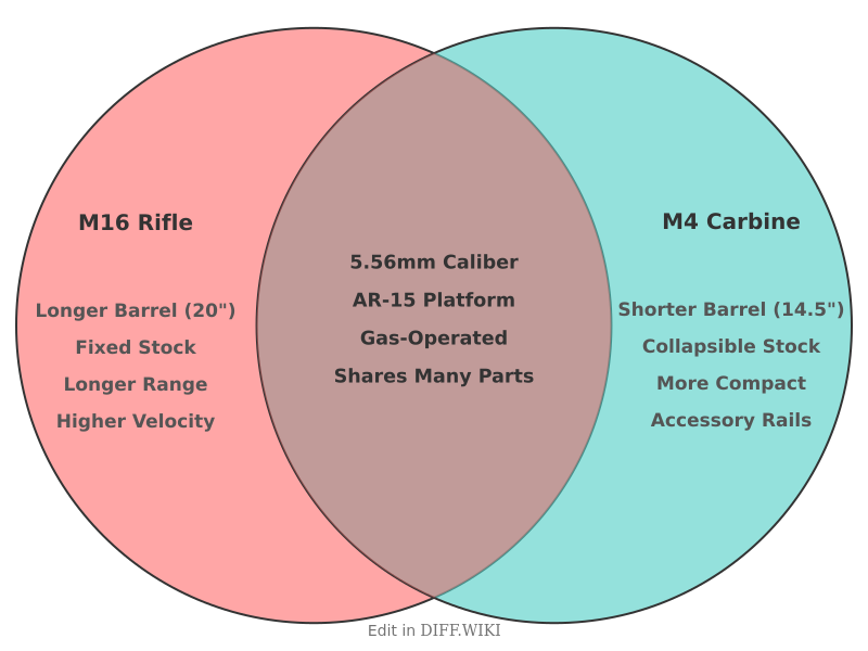 Venn diagram for Differences between M16 Rifle and M4 Carbine
