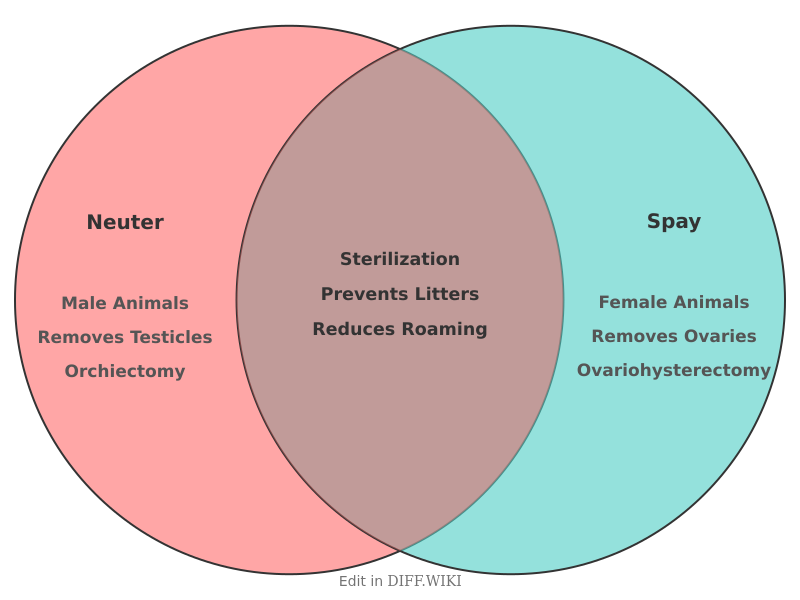 Venn diagram for Differences between Neuter and Spay