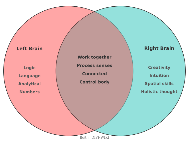 Venn diagram for Differences between Left Brain and Right Brain