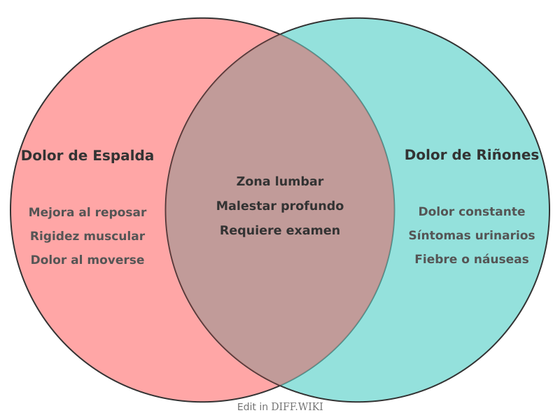 Venn diagram for Differences between Dolor-de-Espalda- and -Dolor-de-los-Rinones