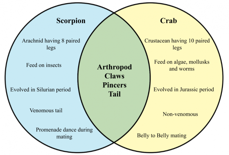 File:Crab vs scorpion.png