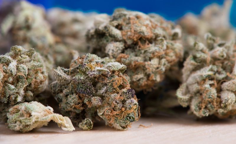 File:Cannabis-2150543 1920.jpg