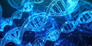 Dna-3539309 1920.jpg
