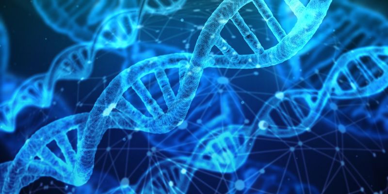 File:Dna-3539309 1920.jpg